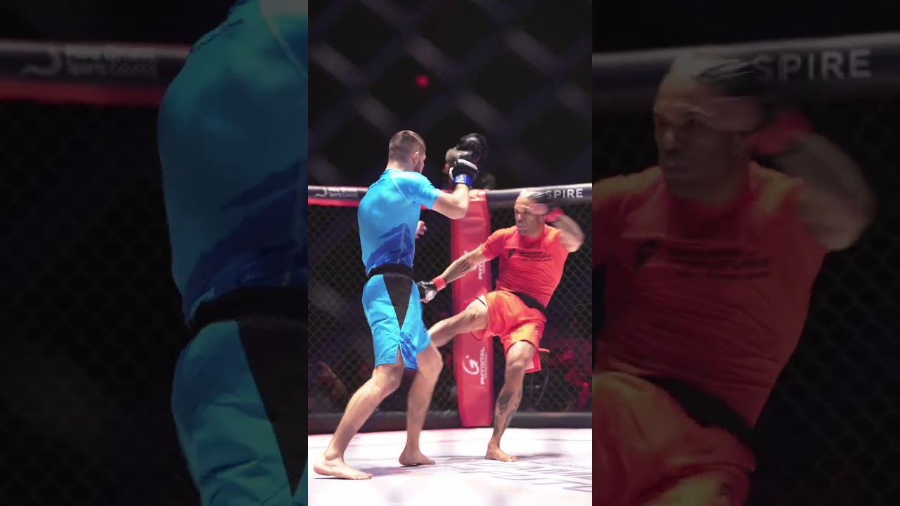 Phygital Fighting 3 Phygital Fighting. FATAL FURY: City of the Wolves had fans on the edge of their seats